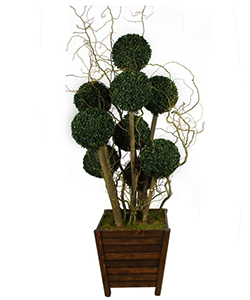 ARTIFICIAL BOXWOOD TOP 180 CM POTTED
