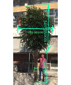 ARTIFICIAL FICUS BIG TREE H:550CM- DIAMETER:300CM