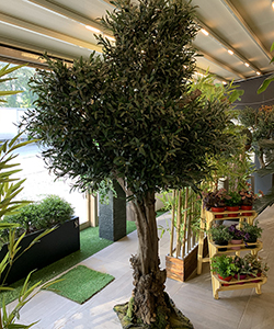240CM ARTIFICIAL OLIVE TREE