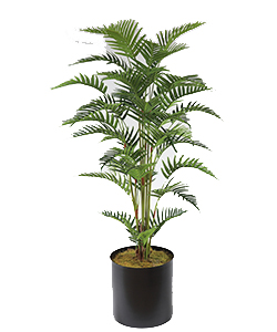 150CM REAL TOUCH FERN PALM 