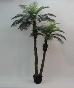 250CM REAL TOUCH PALM TREE