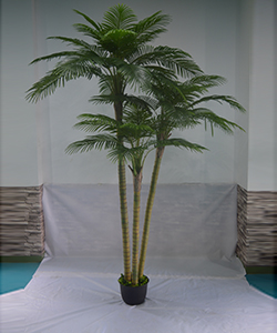 300CM REAL TOUCH PHOENIX PALM