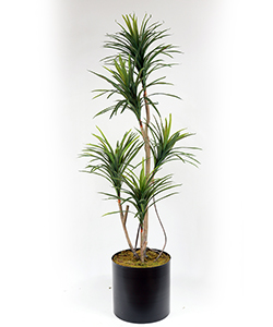 180CM REAL TOUCH YUCCA TREE
