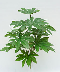 65CM REAL TOUCH FATSIA BUNCH