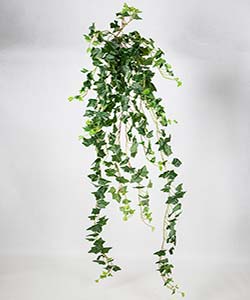 175CM REAL TOUCH IVY HANGING BUNCH