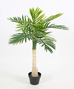 100 REAL TOUCH PALM TREE