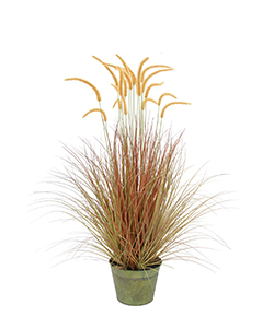 124 CM DOGTAIL GRASS W/ METAL POTENTED