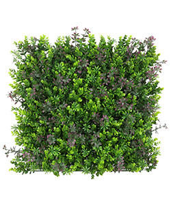 Okiliptus Dikey Bahçe 100x100cm (Dış Mekan UV Koruma)