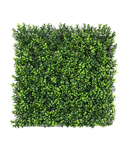 Uzun Şimşir Yeşil Dikey Bahçe 100x100cm (Dış Mekan UV Koruma)