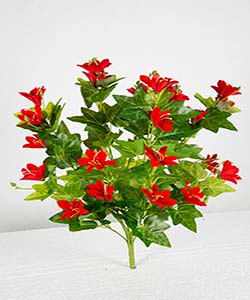 RED FLOWERING PLANT